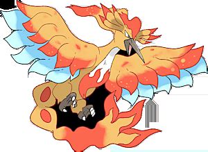 mega moltres|Pokemon 8146 Mega Moltres Pokedex: Evolution, Moves, Location, Stats.